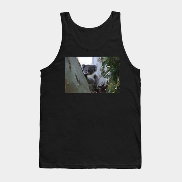 Koala - Magpie Springs - Fleurieu Peninsula - Australia Tank Top by MagpieSprings